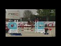 Caballo castrado Silla Francés En venta 2016 Alazán por EPSOM GESMERAY