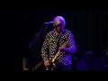 Robyn Hitchcock - The Lizard
