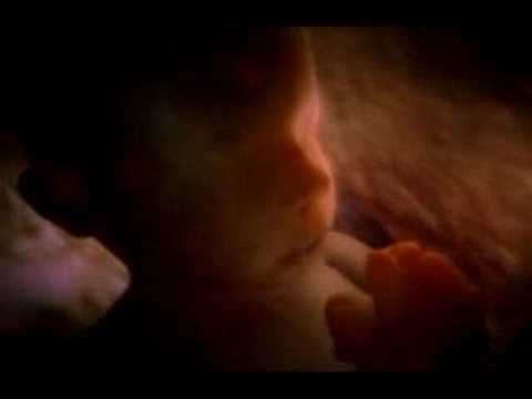 A Contração Muscular (Parte 4 de 4)