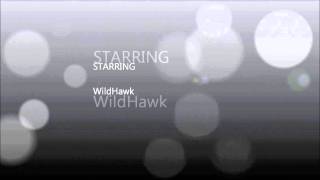 WildHawk Dream Out Loud