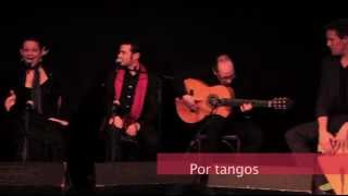 Flamenco de Sevilla con Pepita Rohde, por tangos