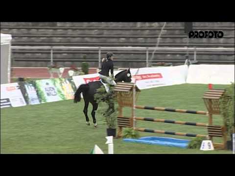 Constantin im Hannoveraner Springpferdechampionat 2013