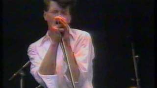 Herman Brood&amp; his Wild Romance: &quot;No more dancin&#39;&quot; (PINK-POP 1988)