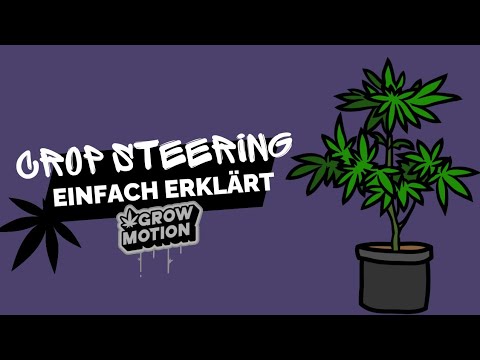 Crop Steering leicht erklärt: Maximale Erträge durch gezielte Steuerung | Ben Green Tipps