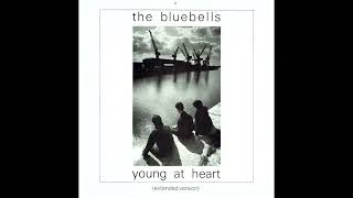 THE BLUEBELLS - Some Sweet Day