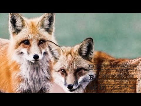 Boothmaine x Meech Boog Make it Right (Official Audio)