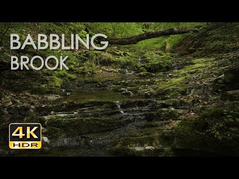 4K HDR Babbling Brook - Trickling Forest Creek - Water Sounds - Relaxing Nature Video