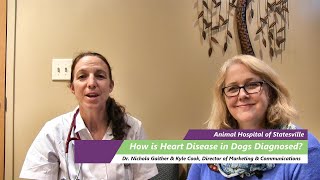 How Is Heart Disease in Dogs Diagnosed