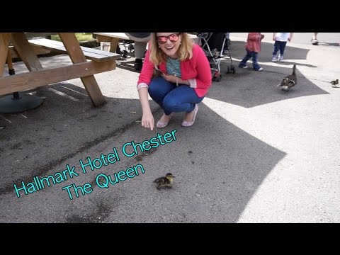 Chester Vlog / Hallmark Hotel Chester The Queen