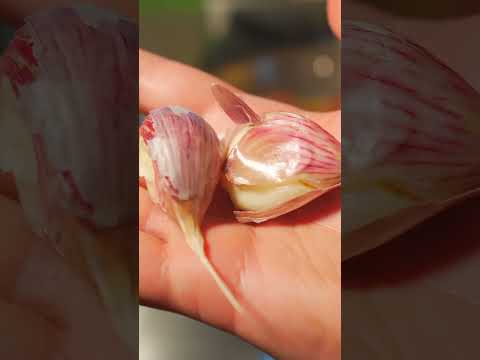 This is the KING of all PORK CHOPS