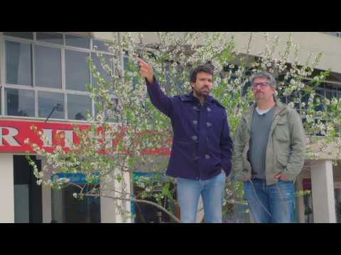 Miguel Araújo - 1987 - O Roteiro