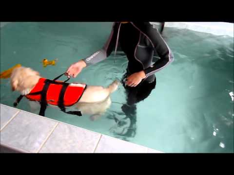 Úszás a csípő fájdalma