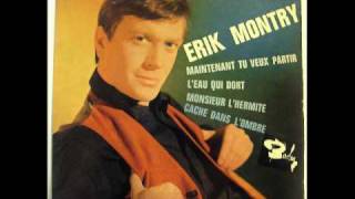 Eric Montry - Monsieur L'hermite