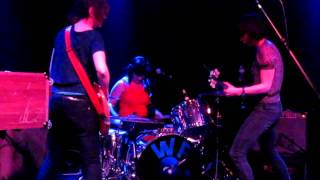 Wild Flag - Racehorse