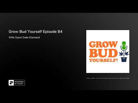 Grow Bud Yourself Episode 84 - Guest: Duke Diamond of Dominion Seed Company