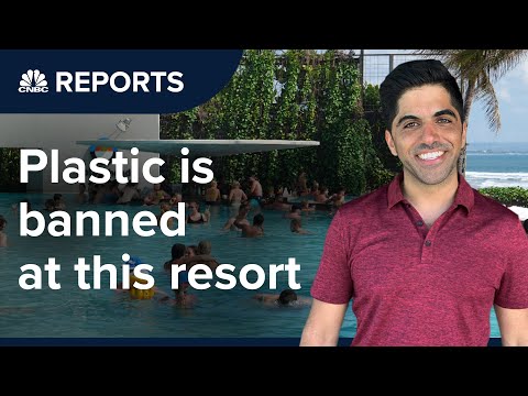 グリーン化はビジネスに良いことなのか？| CNBCレポート (Is going green good for business? | CNBC Reports)