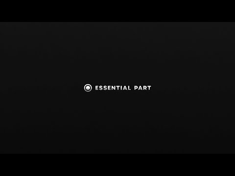 Schlepp Geist & Motip White - No Need To Deliver