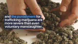 Marijuana Drug Trafficking in Georgia