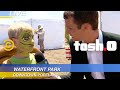 I Like Turtles Web Redemption Tosh 0