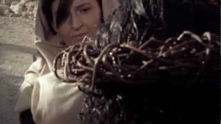 Trailer - Searching for the face of Jesus-ENG