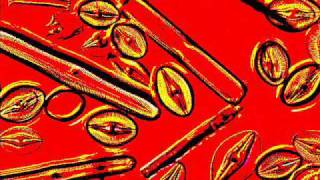 Daedelus, Madlib bonus beats