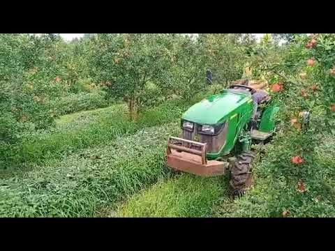 Shaktiman Flail mower with mini John Deer 3028 #horticulture #pomegranate #mulching