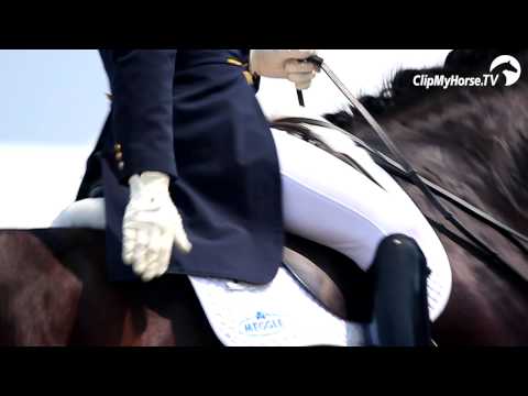 Deutsches Spring- und Dressur-Derby 2015 - Meggle Champions of Honour!