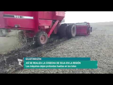 Guatimozin: Así se realiza la cosecha de soja en la región