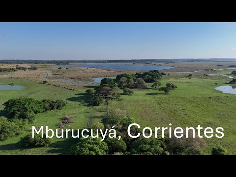 Mburucuya - Corrientes