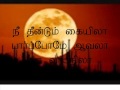 KALYANA THEN NILA  With lyric.wmv