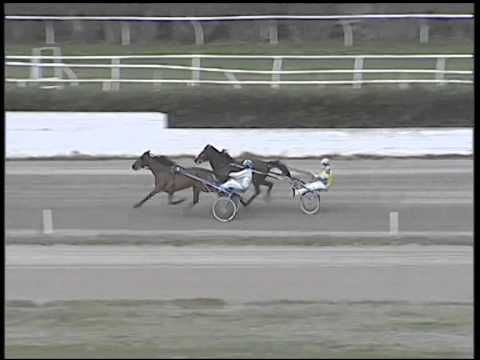 Trotto 08/01/2015 - 1° prova di riqualifica