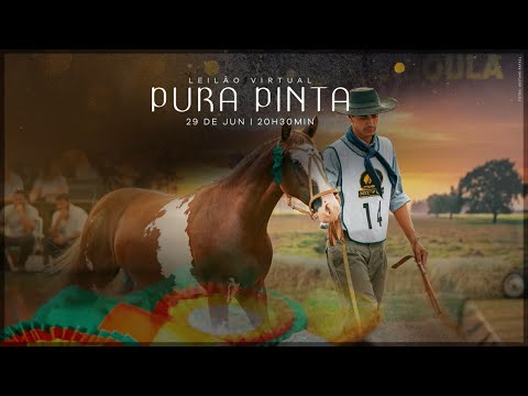 LOTE 29 - DUQUESA DA HERANÇA FARROUPILHA