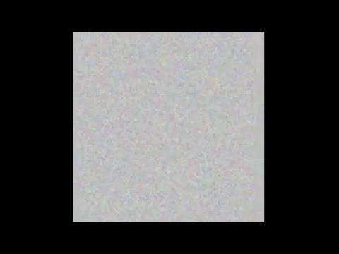 智慧的力量 Wisdom's Power 即時報