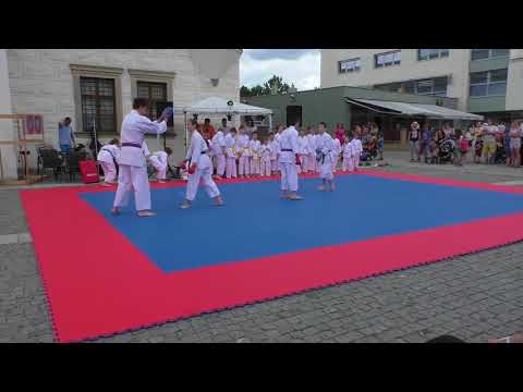 20180602 - Ukázka karate - Den pro rodinu 2018 - Kyjov