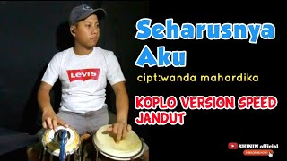 Download lagu SEHARUSNYA AKU - KOPLO SPEED JANDUT - cipt:wanda mahardika - cover shinin kendang mp3
