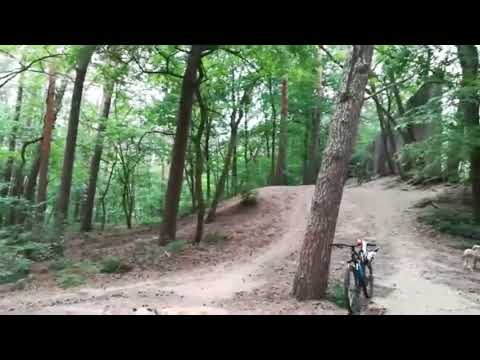 Downhill at Home | Niklas Falk