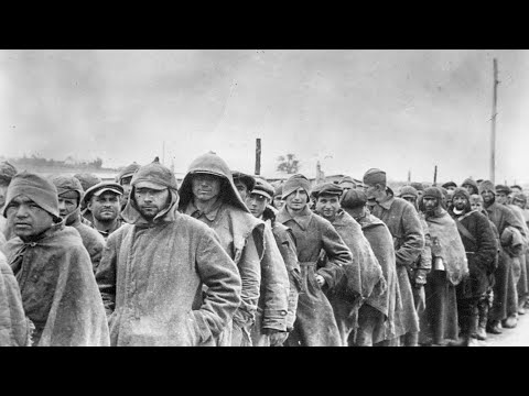 Hiwis at the Gate: Why Soviet POWs Served the Wehrmacht?
