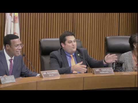 Formal Session - Norfolk City Council 8/27/19