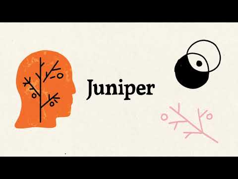 Video thumbnail for Juniper