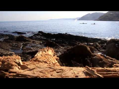 download lagu mp3 mp4 Fun Run Draken, download lagu Fun Run Draken gratis, unduh video klip Fun Run Draken