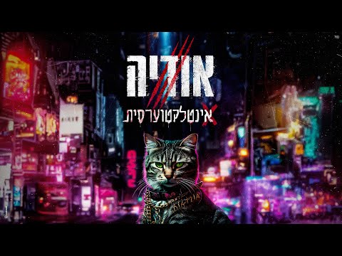 אינטלקטוערסית