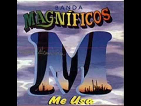 banda magnificos-chamego