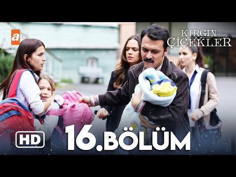 Kırgın Çiçekler 16. Bölüm | HD