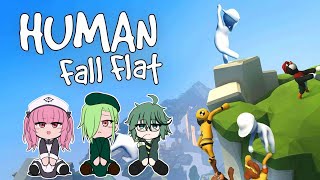 【水曜ゲーム部】Human: Fall Flatをやります
