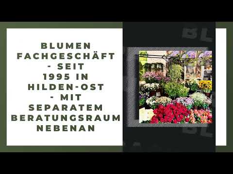 Blumen Rack YouTube-Vdeominiatur 7