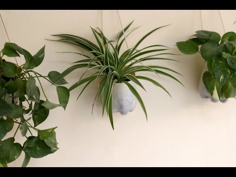 How to Make Hanging Planters from Plastic Bottles(Urdu) Video