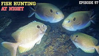 Download lagu NIGHT SPEARFISHING EPISODE 57 | FISH HUNTING AT NIGHT mp3