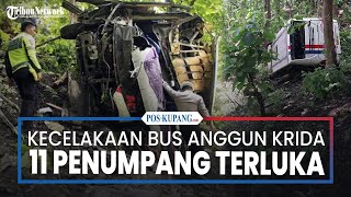 Download lagu Kecelakaan Bus Anggun Krida Masuk Jurang 20 Meter di Bondowoso, 11 Penumpang Terluka mp3