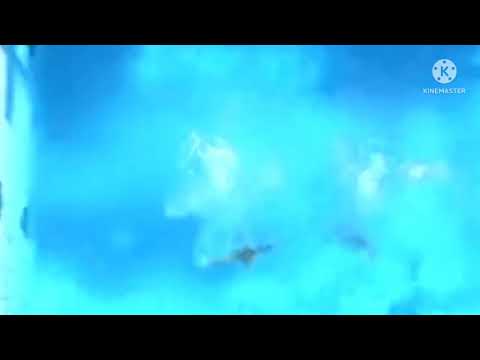 2009 Dmitry Sautin Yuri Kunakov - Synchronized 3 Meter - World Championship