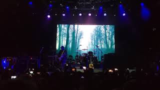 Live - Intro/&quot;The Dam at Otter Creek&quot; - Live at the Fillmore in Denver, CO
